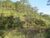 Terreno, 2 hectares - Foto 4