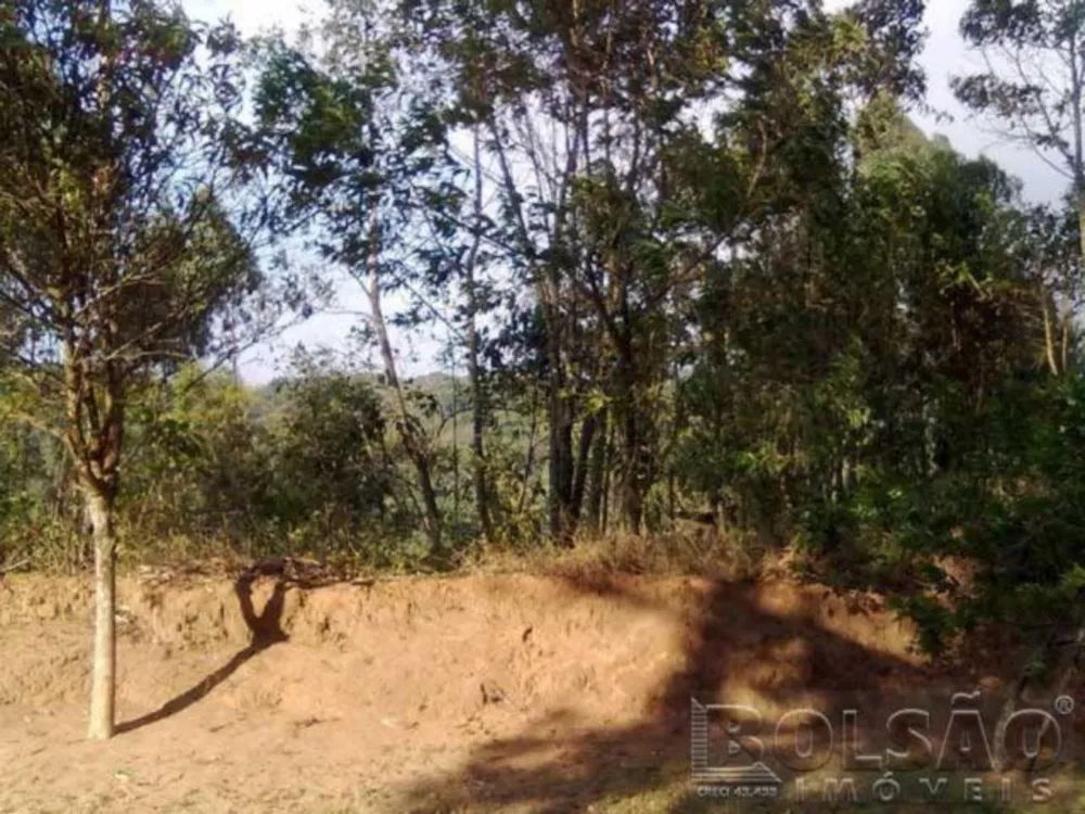 Terreno, 1000 m² - Foto 6