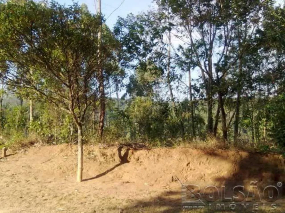 Terreno, 1000 m² - Foto 5