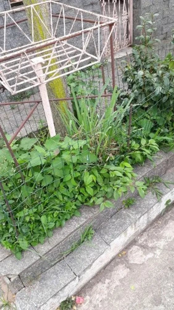 Sobrado, 3 quartos, 270 m² - Foto 1