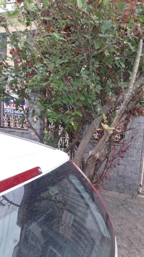 Sobrado, 3 quartos, 270 m² - Foto 2