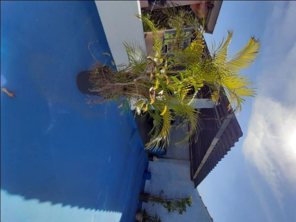 Sobrado, 4 quartos, 300 m² - Foto 8
