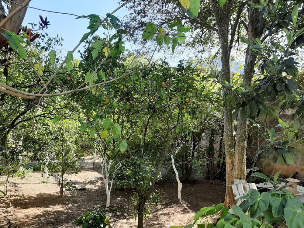 Sobrado, 4 quartos, 300 m² - Foto 4