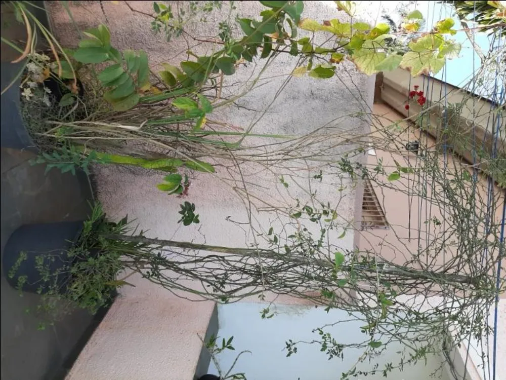 Sobrado, 4 quartos, 300 m² - Foto 20