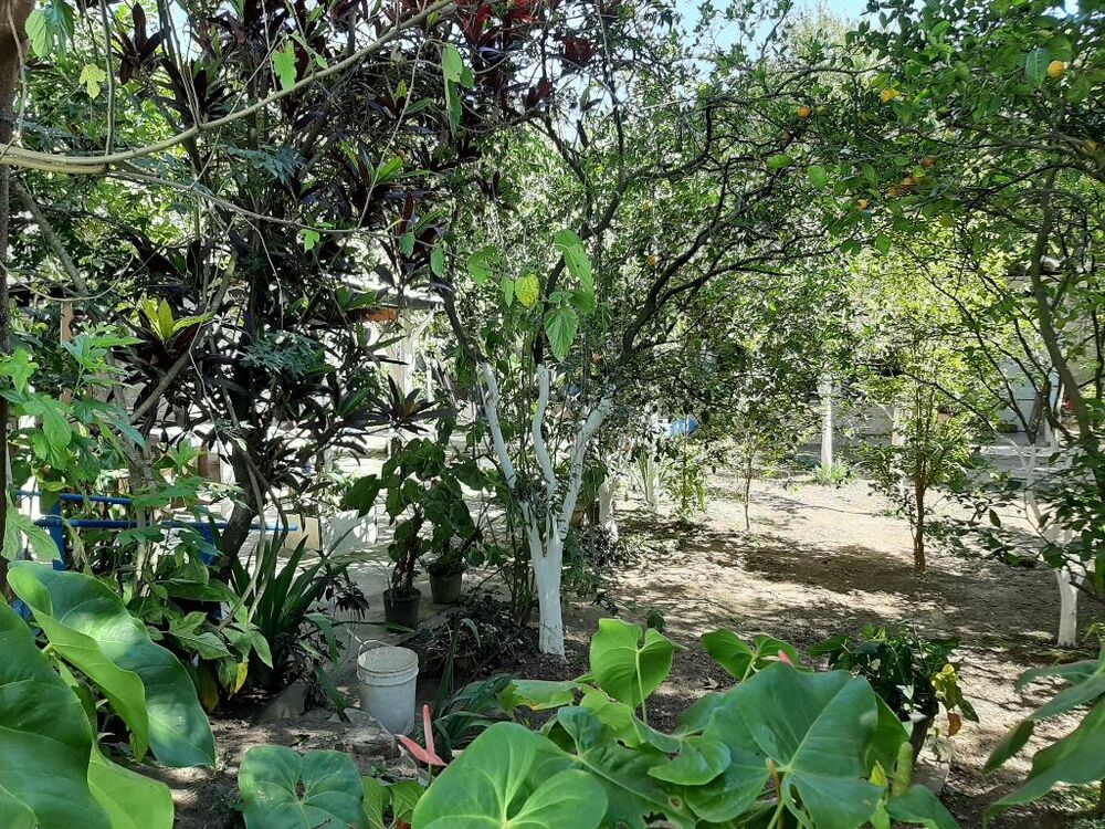 Sobrado, 4 quartos, 300 m² - Foto 10