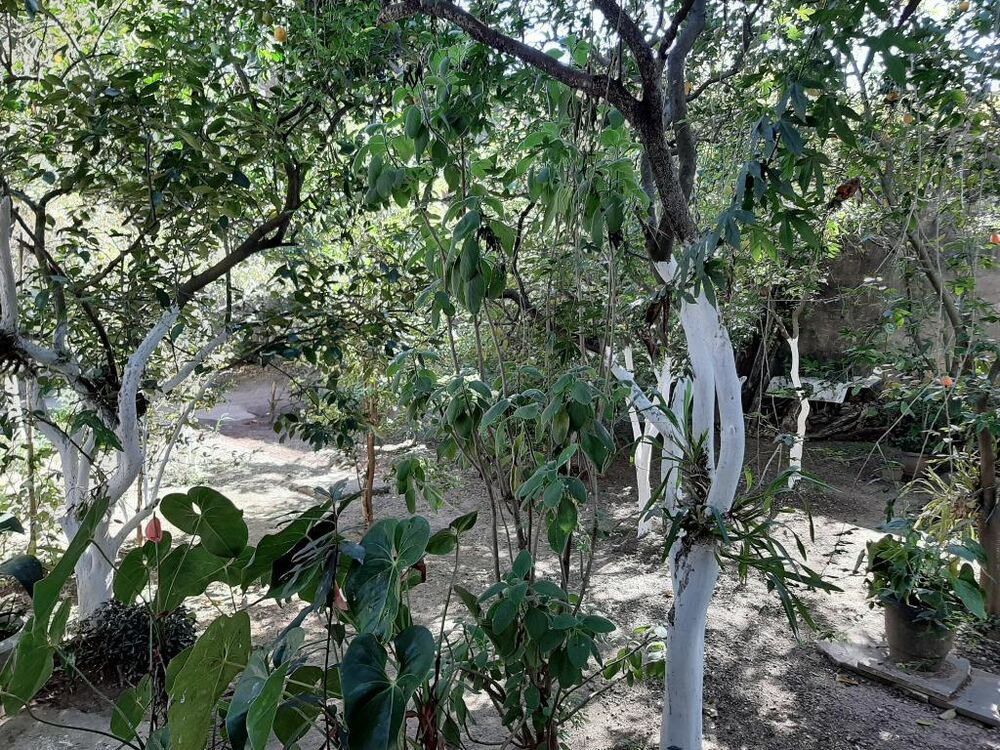 Sobrado, 4 quartos, 300 m² - Foto 2