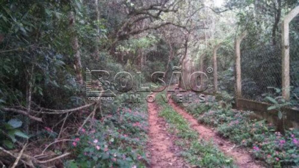 Chácara, 1 quarto, 8000 m² - Foto 16