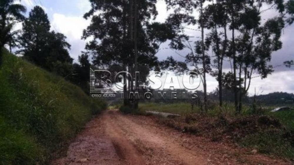 Chácara, 1 quarto, 8000 m² - Foto 6