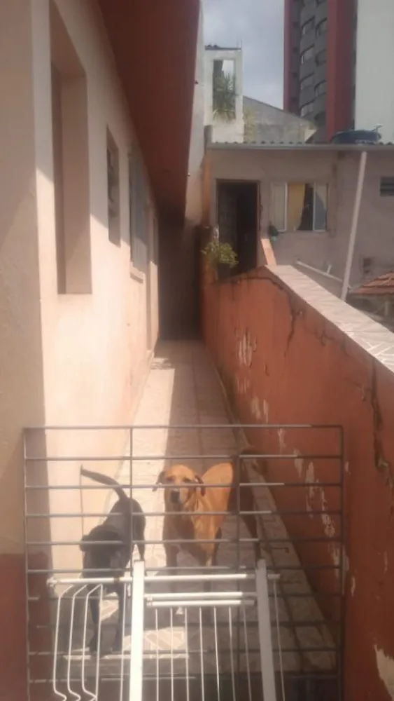 Sobrado, 4 quartos, 177 m² - Foto 7