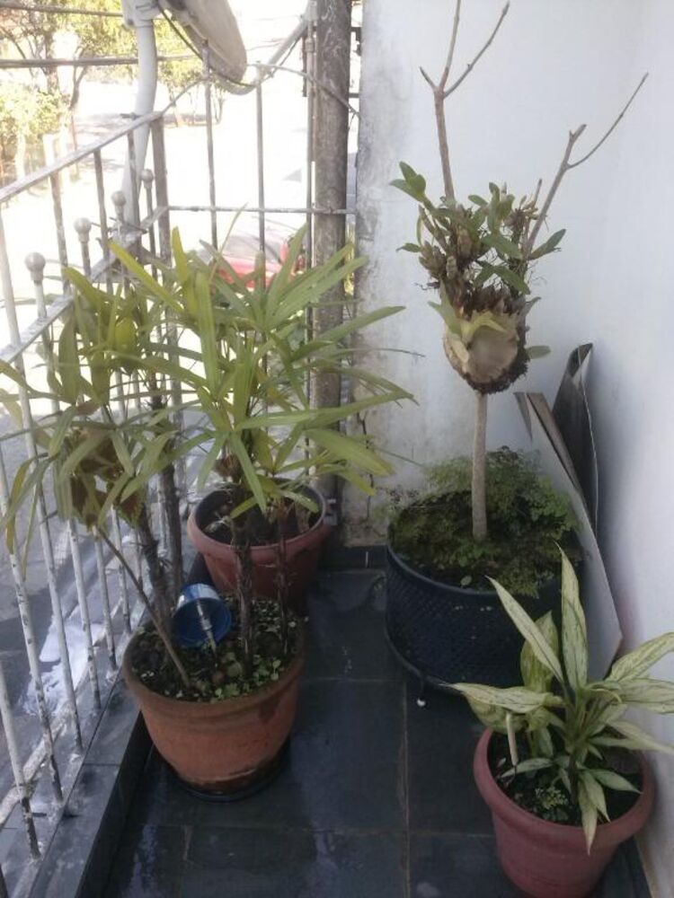 Sobrado, 6 quartos, 120 m² - Foto 21
