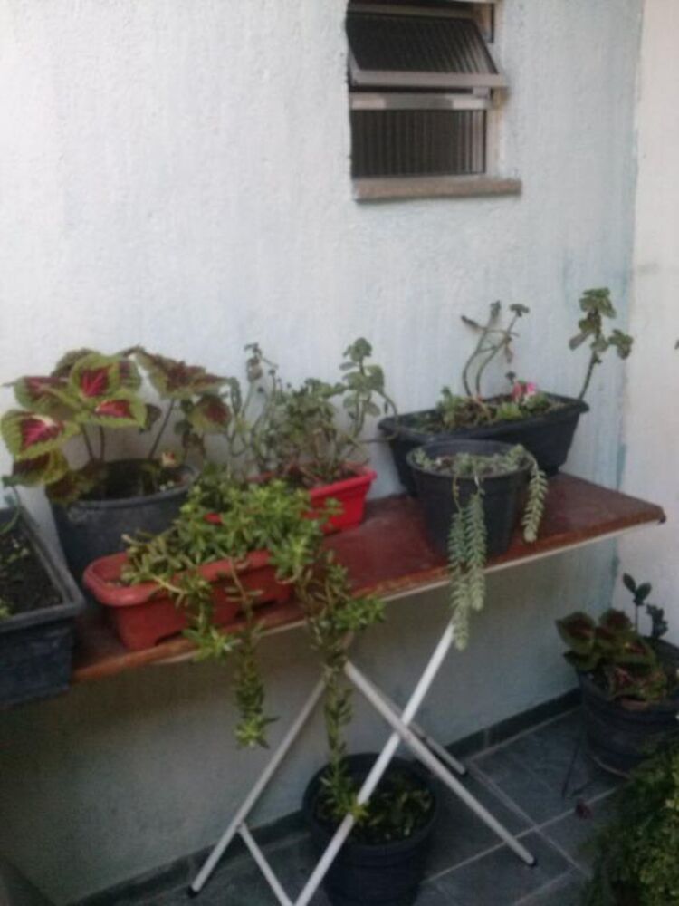 Sobrado, 6 quartos, 120 m² - Foto 9