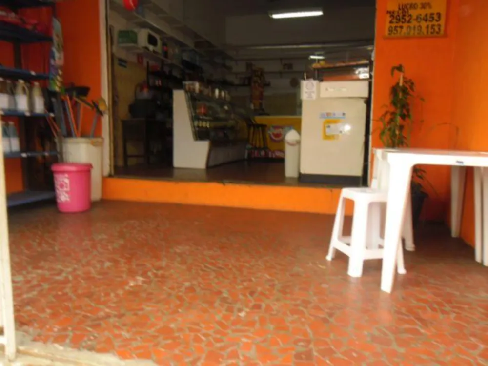 Sobrado, 3 quartos, 491 m² - Foto 13