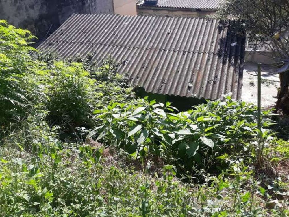 Terreno, 300 m² - Foto 6