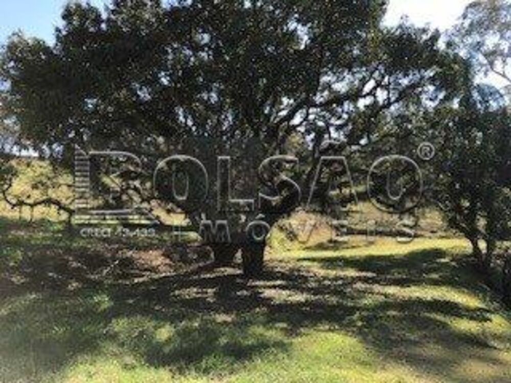 Sítio, 11 quartos, 4500 m² - Foto 9