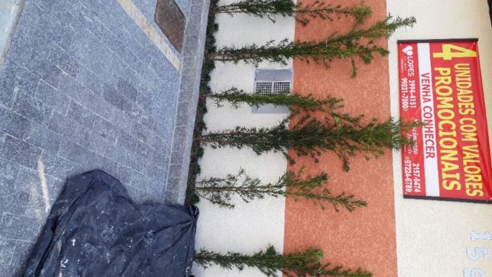 Apartamento, 2 quartos, 44 m² - Foto 7