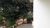 Sobrado, 3 quartos, 350 m² - Foto 4