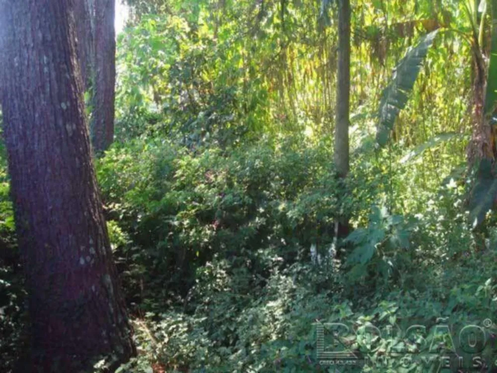 Terreno, 700 m² - Foto 5