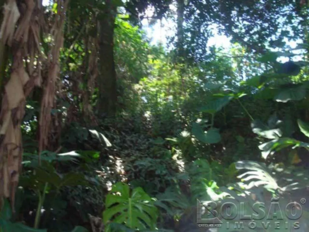 Terreno, 700 m² - Foto 1