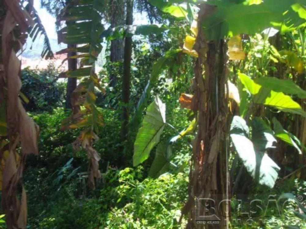 Terreno, 700 m² - Foto 6