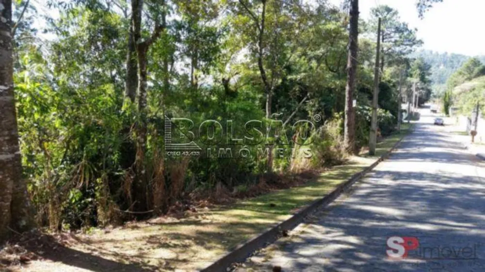 Terreno, 1 hectares - Foto 7