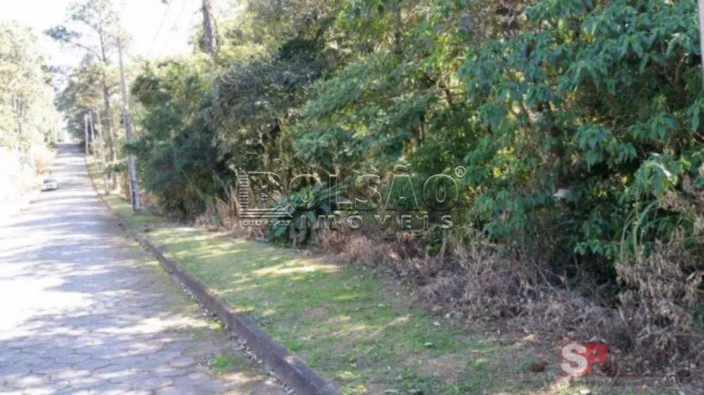 Terreno, 1 hectares - Foto 5