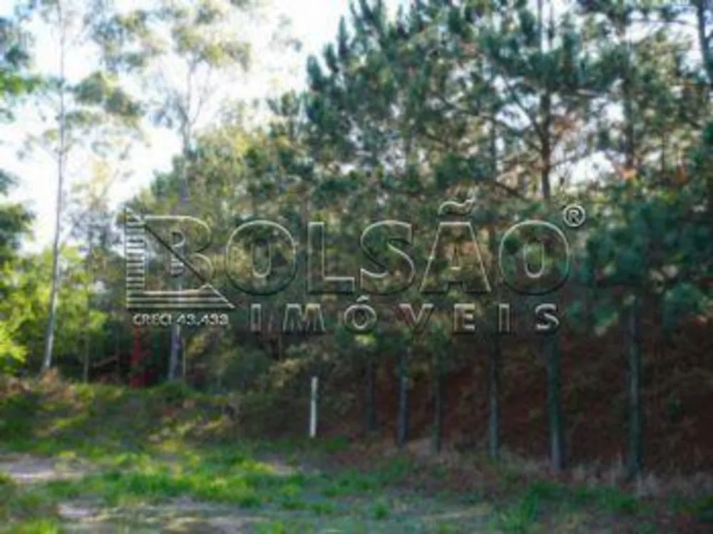 Depósito-Galpão, 370 m² - Foto 5
