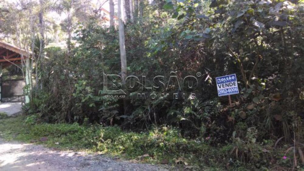 Terreno, 2555 m² - Foto 3