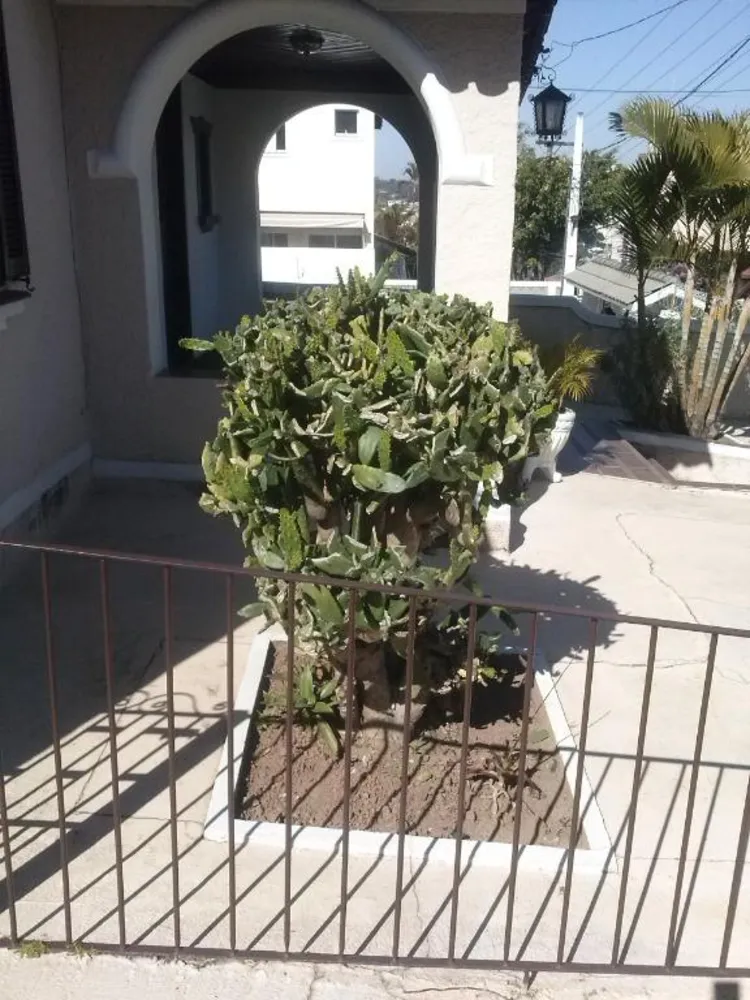 Casa, 2 quartos, 100 m² - Foto 12