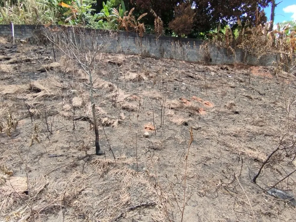 Terreno, 1470 m² - Foto 6