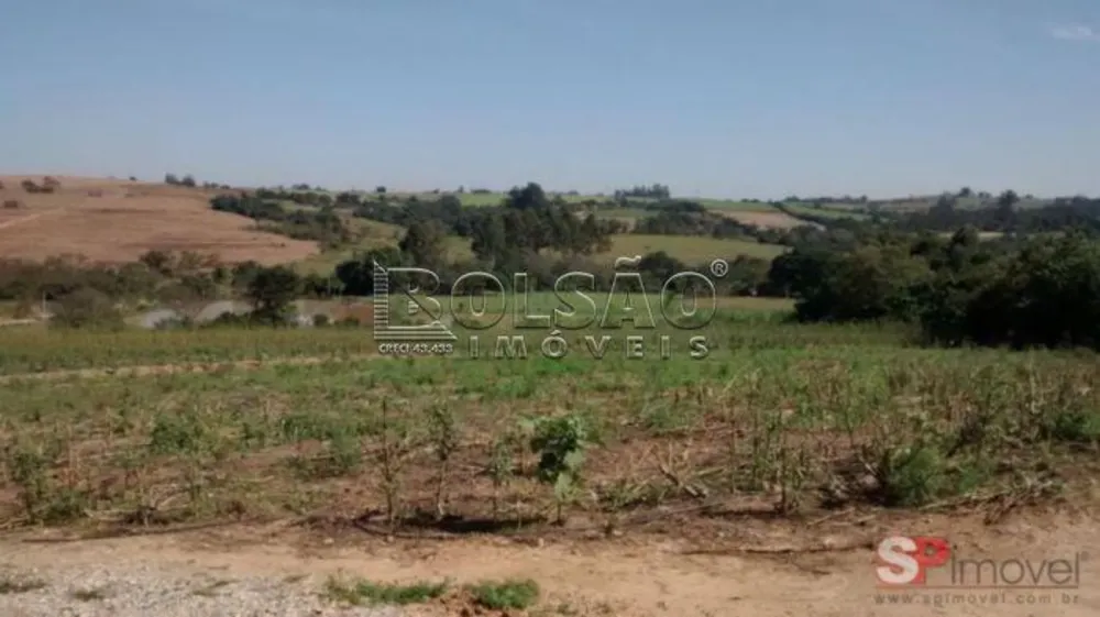 Sítio, 6 quartos, 14 hectares - Foto 4