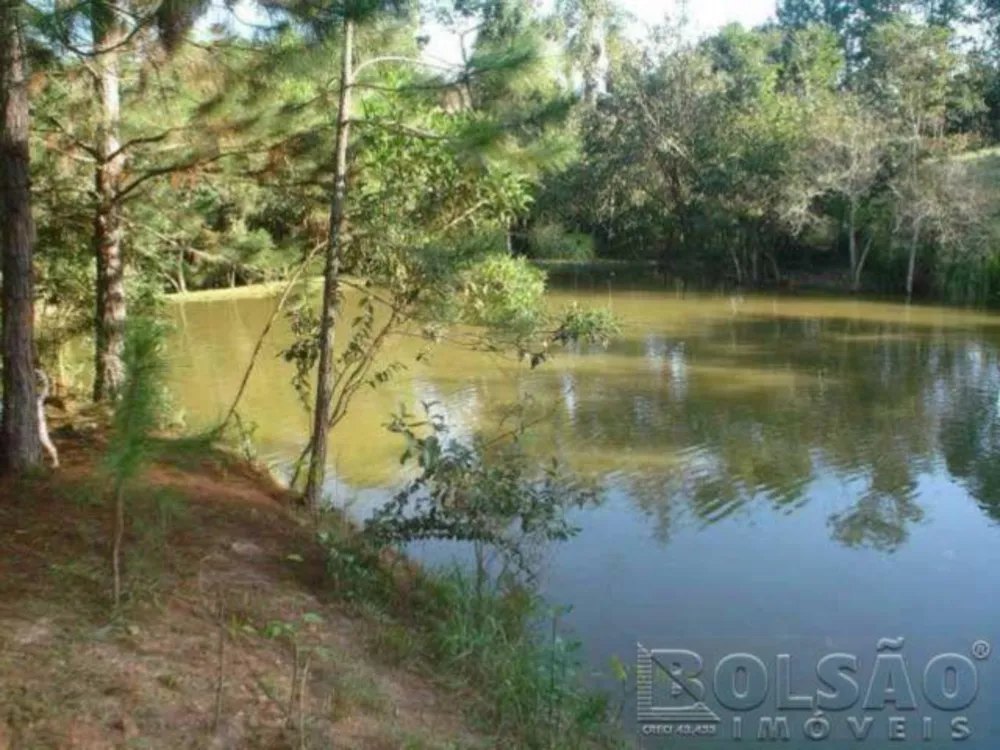 Sítio, 6 quartos, 500 m² - Foto 1