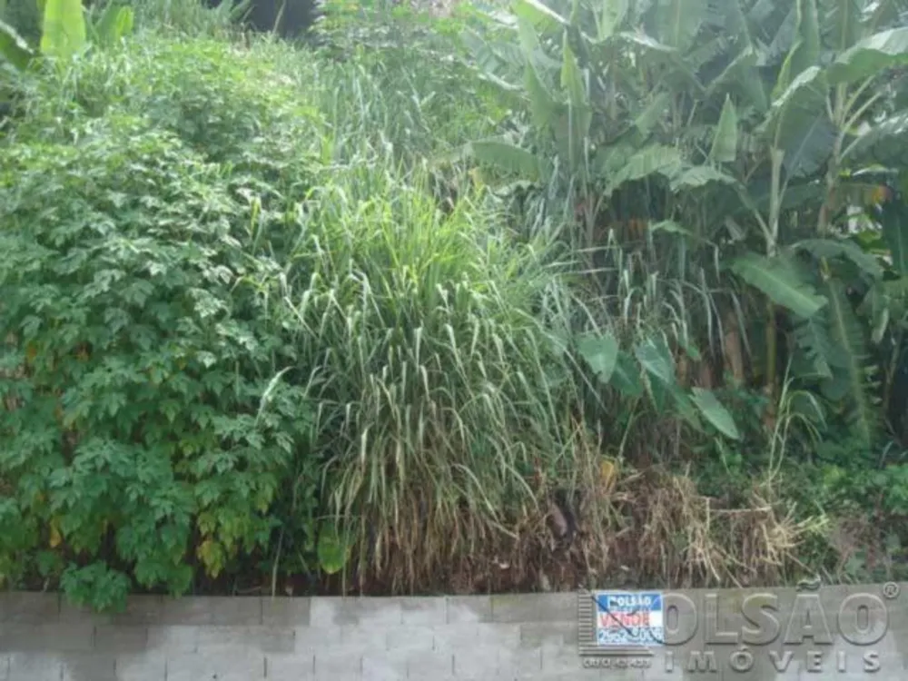 Terreno, 650 m² - Foto 4