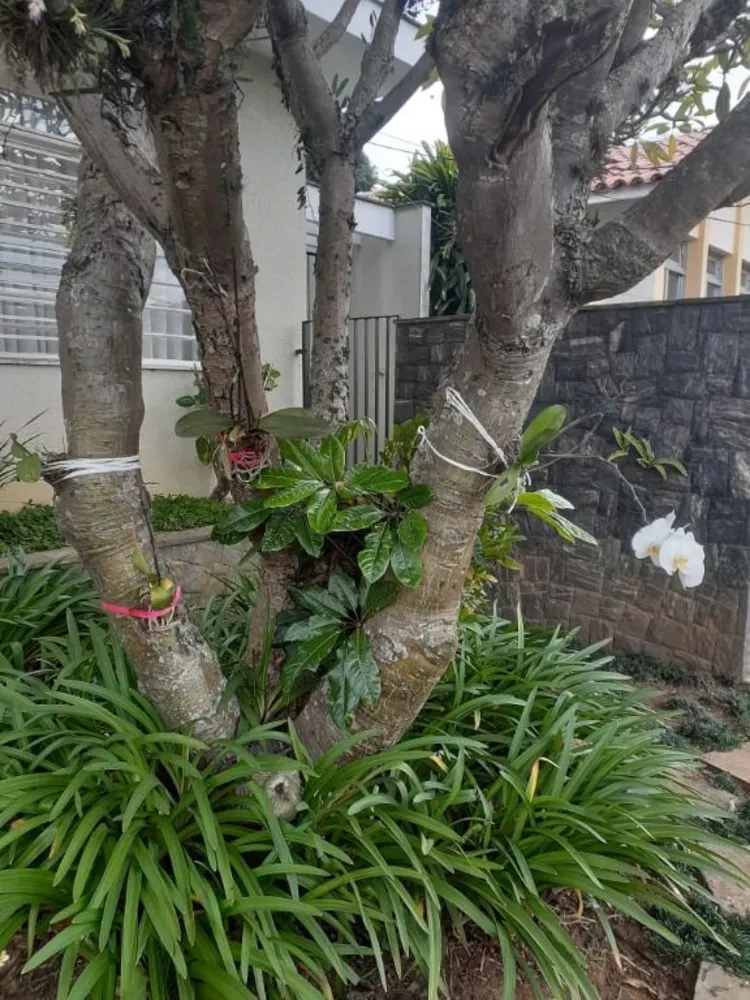 Casa, 3 quartos, 350 m² - Foto 10