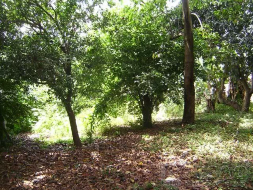 Terreno, 1625 m² - Foto 1