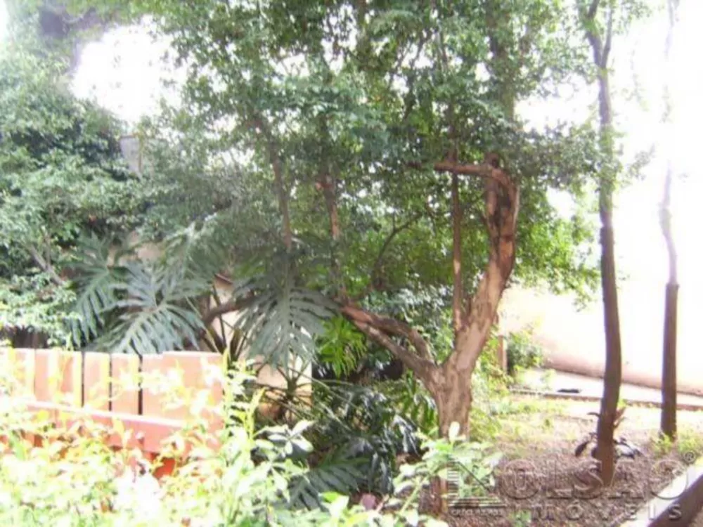 Terreno, 1625 m² - Foto 5