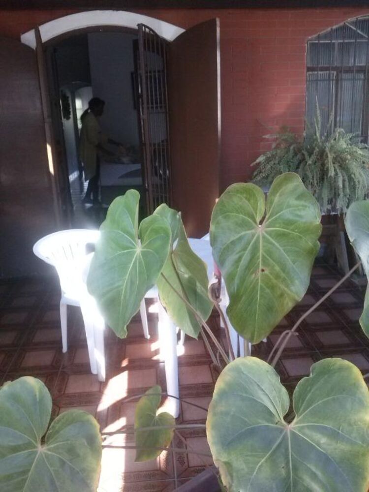 Sobrado, 2 quartos, 120 m² - Foto 1