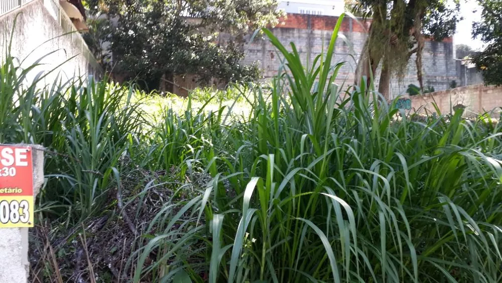 Terreno à venda, 300M2 - Foto 2