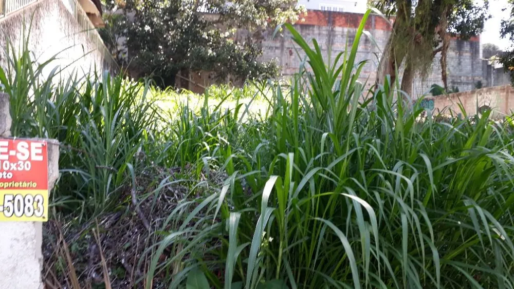 Terreno, 300 m² - Foto 5