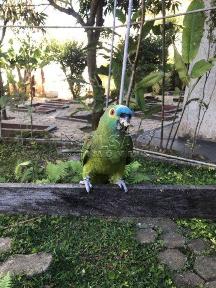 Casa, 6 quartos, 700 m² - Foto 7