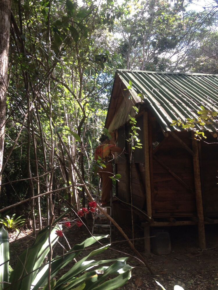 Casa, 1 quarto, 12 m² - Foto 2