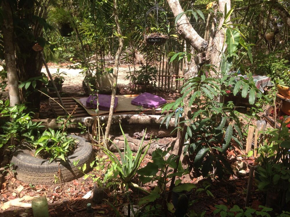 Casa, 1 quarto, 12 m² - Foto 1