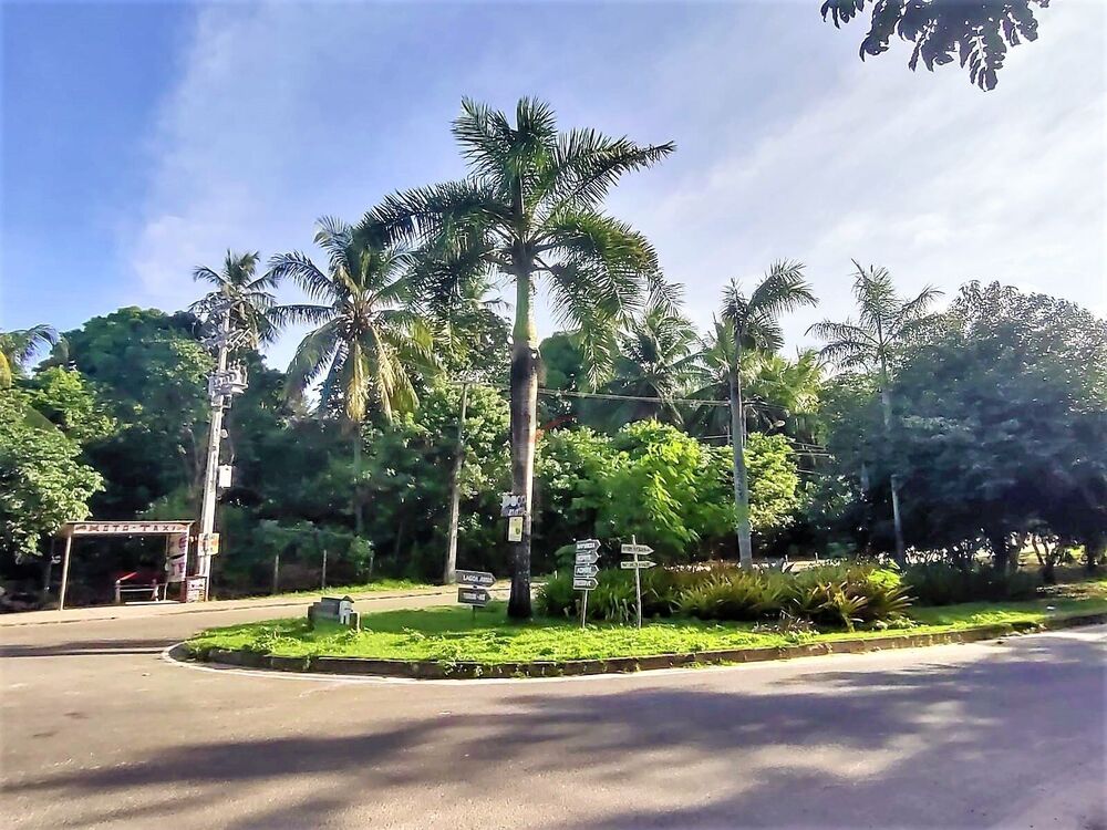 Terreno, 5000 m² - Foto 4