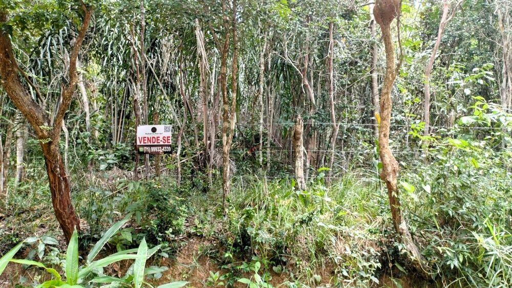 Terreno, 5000 m² - Foto 3