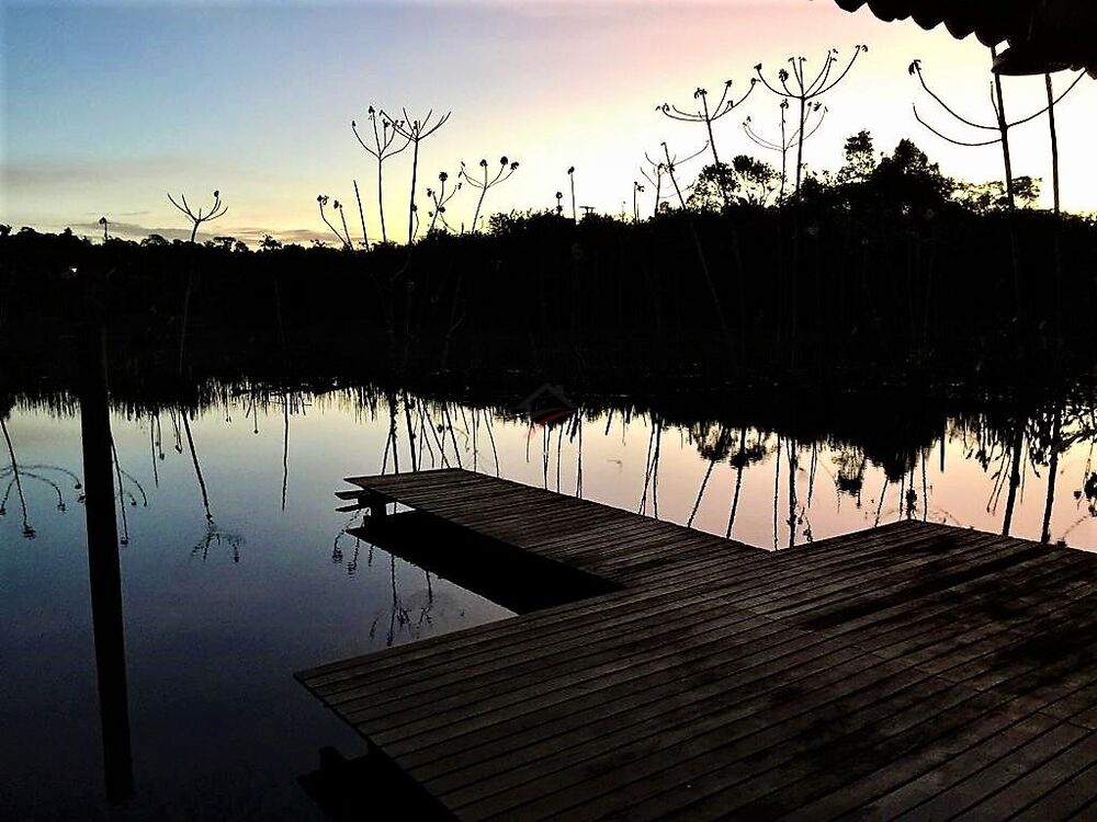 Casa, 4 quartos, 300 m² - Foto 6