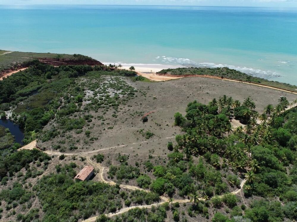 Terreno, 96 hectares - Foto 1