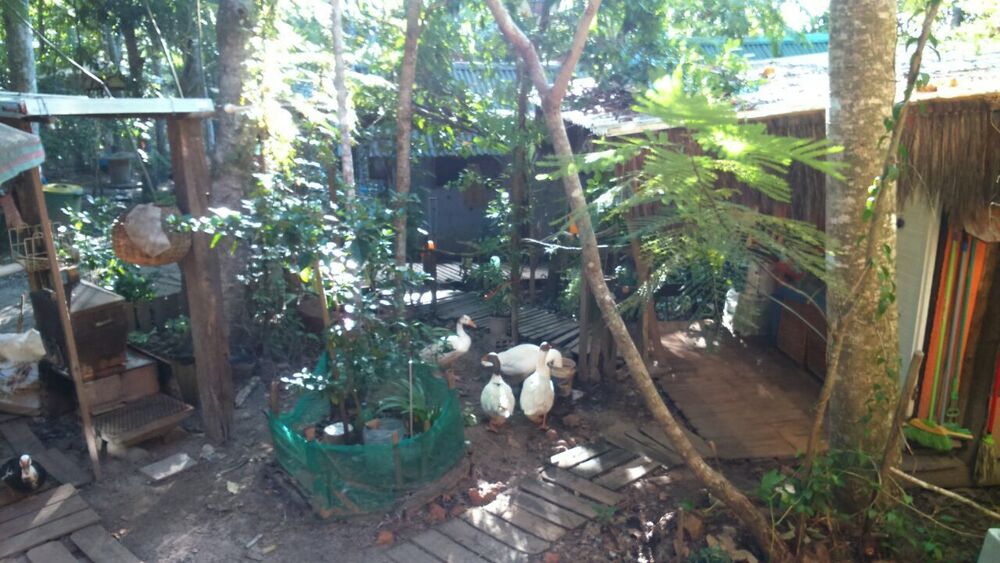 Casa, 1 quarto, 70 m² - Foto 7