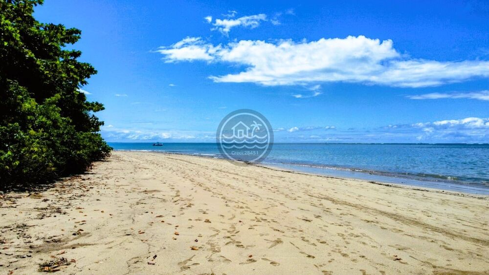 Terreno, 64 hectares - Foto 3
