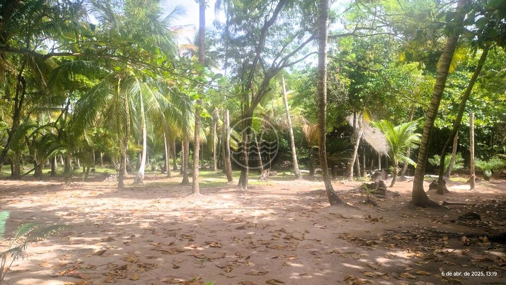 Terreno, 64 hectares - Foto 4