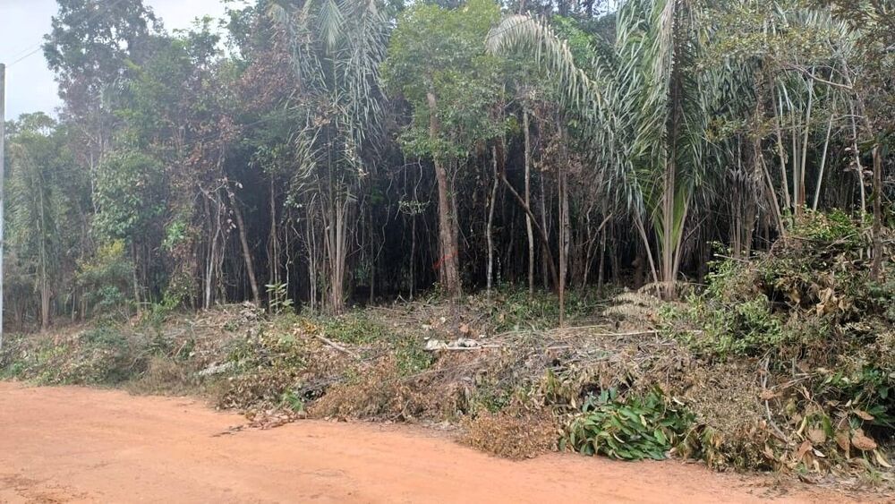 Terreno, 2025 m² - Foto 3