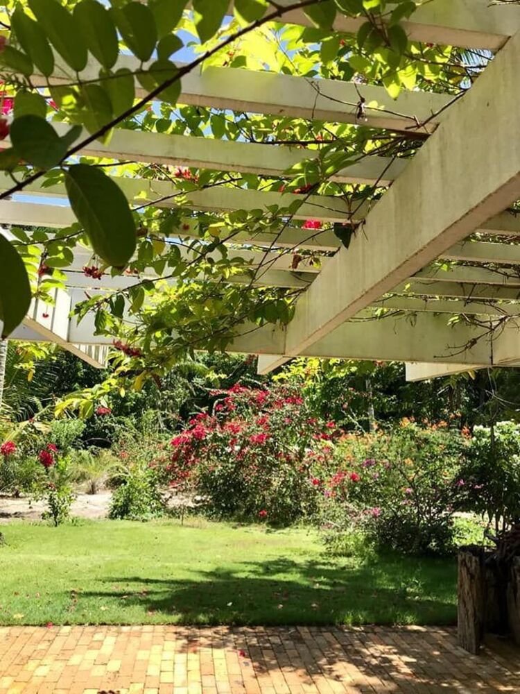 Terreno, 450 m² - Foto 11